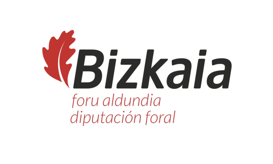 Diputación Foral de Bizkaia modifica unilateralmente las funciones de los y las sargentos del SPEIS