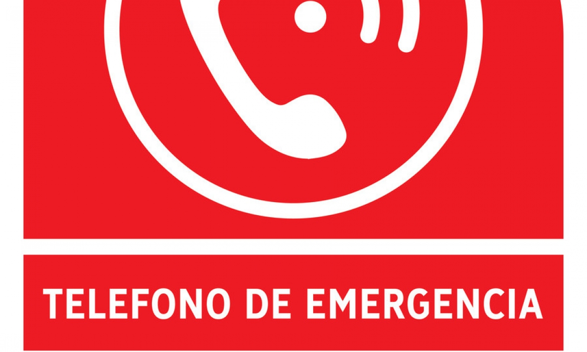 Emergencia social